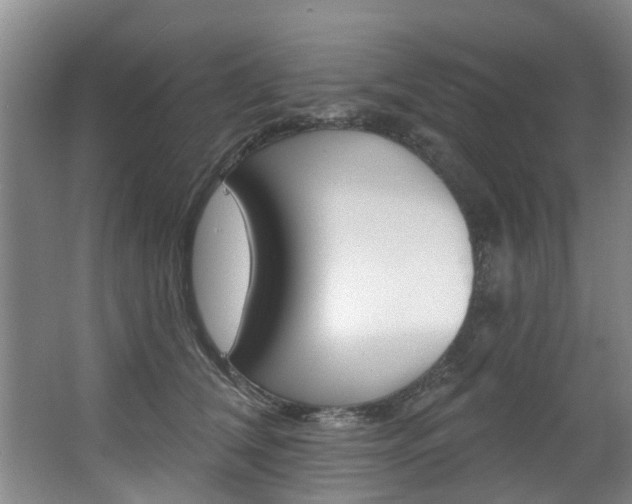 X0000063490612200601201053