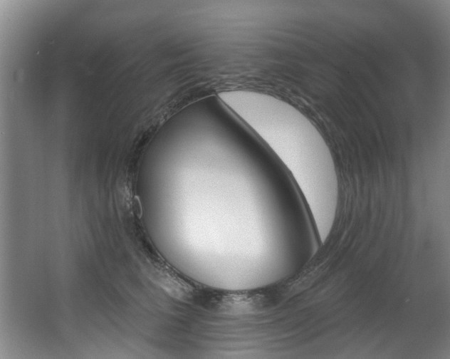 X0000063490613200601201053