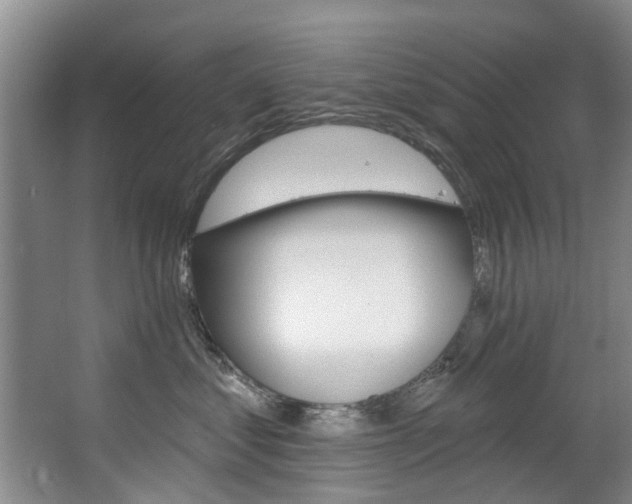 X0000063490621200601201052