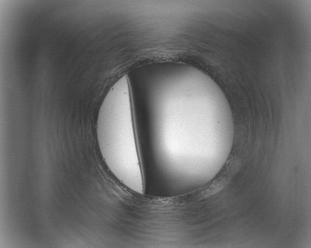 X0000063490624200601201052