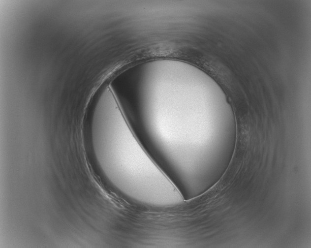 X0000063490626200601201052