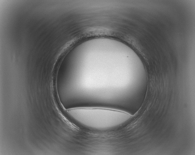 X0000063490629200601201052