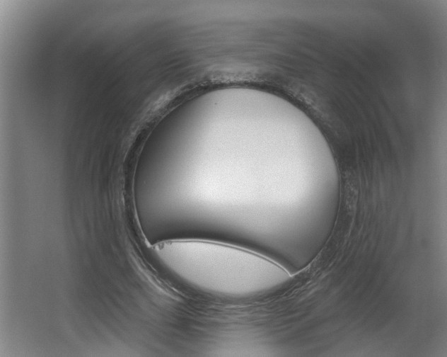 X0000063490631200601201052