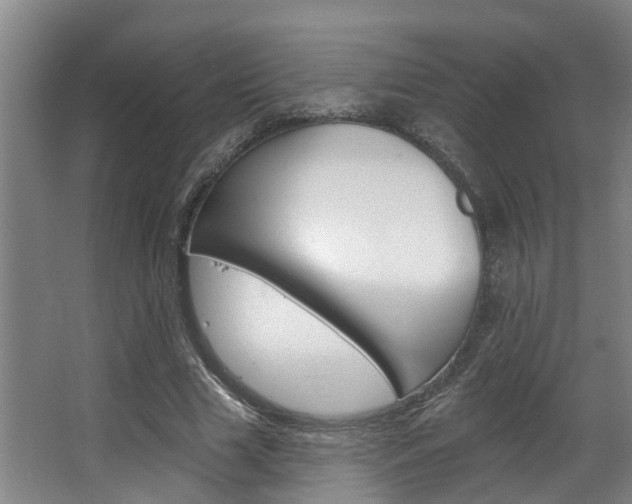 X0000063490633200601201052