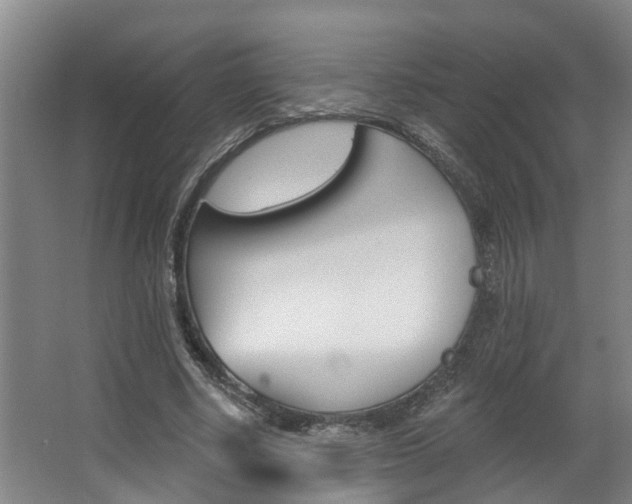 X0000063490634200601201052
