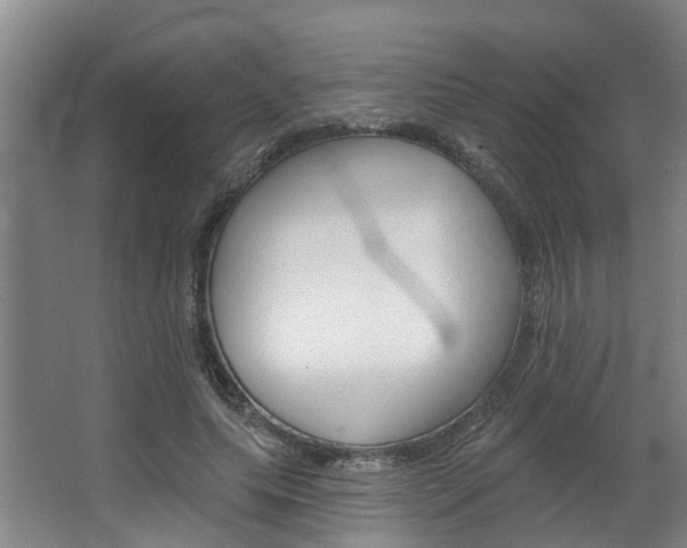 X0000063490639200601201052