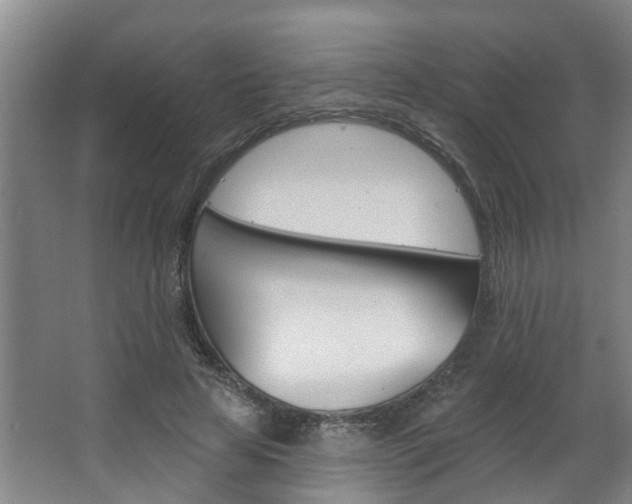 X0000063490641200601201052