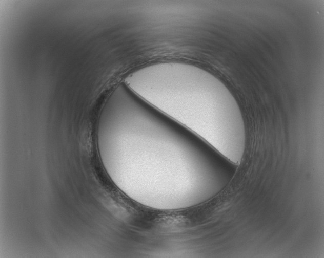 X0000063490642200601201052
