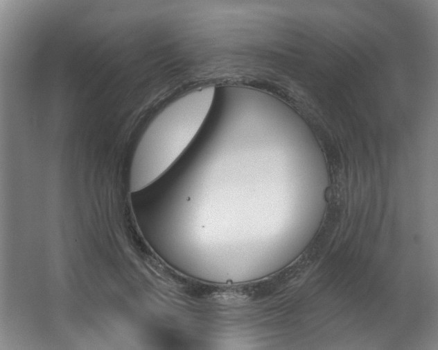 X0000063490644200601201052