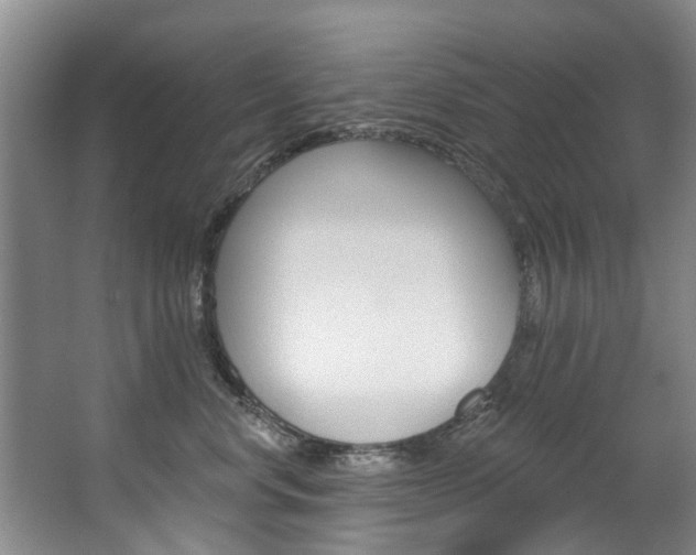X0000063490668200601201052