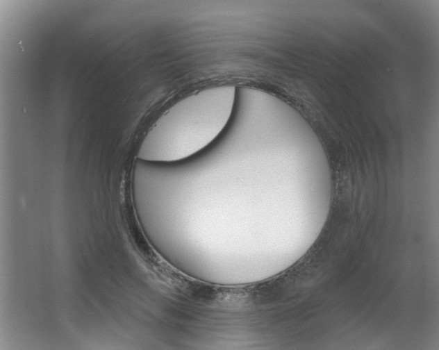 X0000063490694200601201051