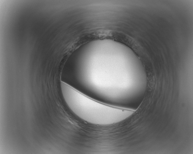 X0000063490704200601201051