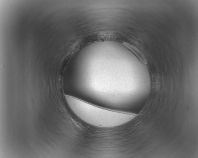 X0000063490712200601201051