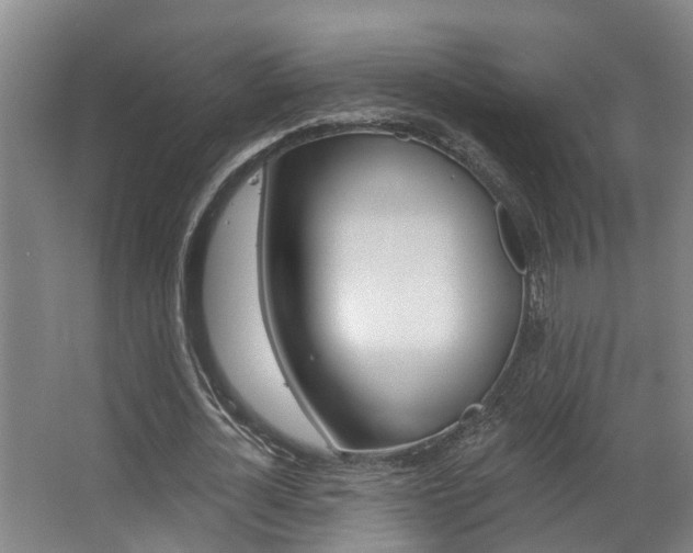 X0000063490724200601201050