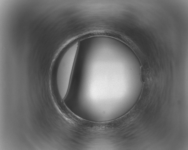 X0000063490728200601201050