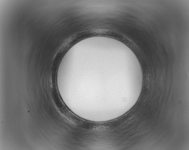 X0000063490734200601201050