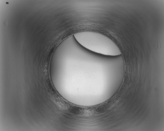 X0000063490737200601201050