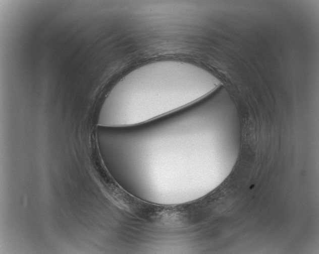 X0000063490742200601201050