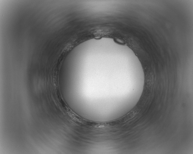 X0000063490755200601201051