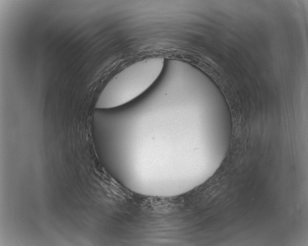 X0000063490774200601201050