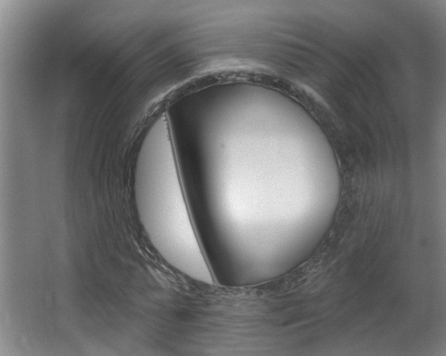 X0000063490775200601201050