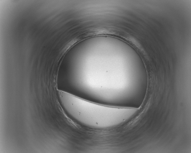 X0000063490793200601201050
