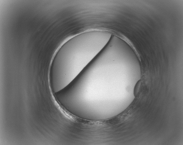 X0000063490811200601201049