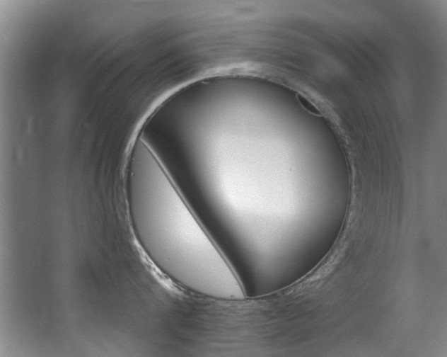 X0000063490816200601201049