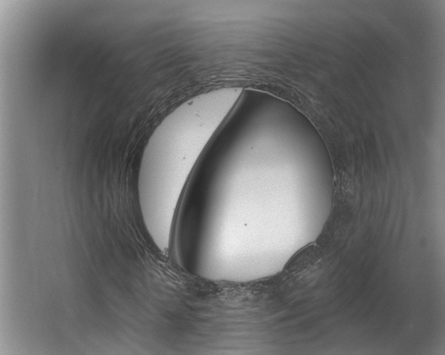 X0000063490818200601201048