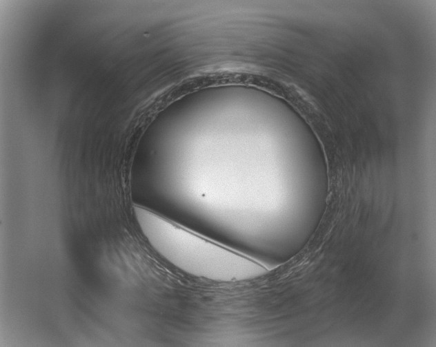 X0000063490821200601201048
