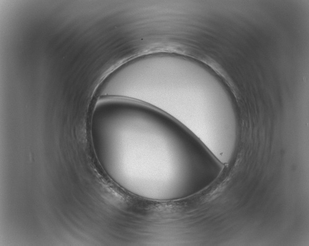 X0000063490834200601201049