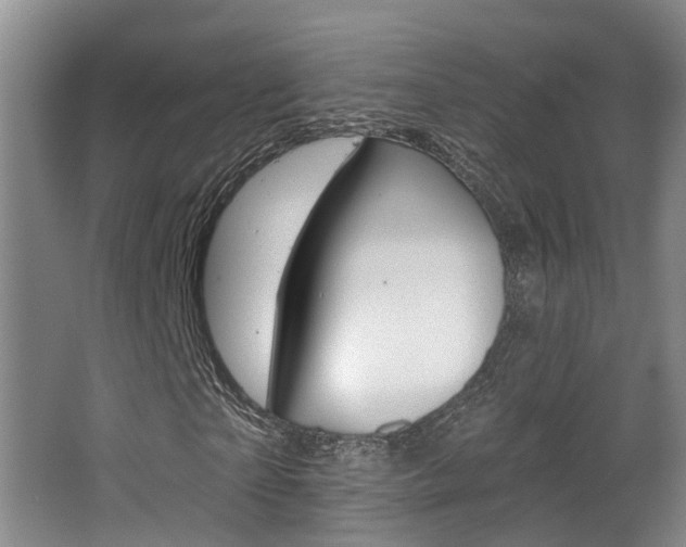 X0000063490865200601201048