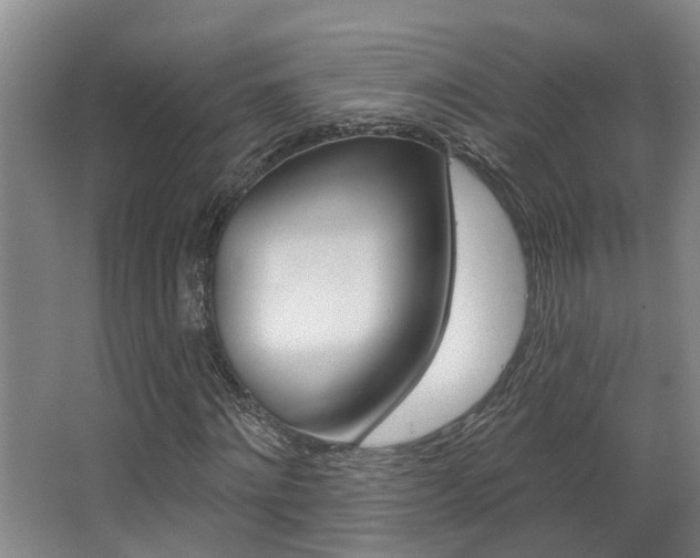 X0000063490868200601201048