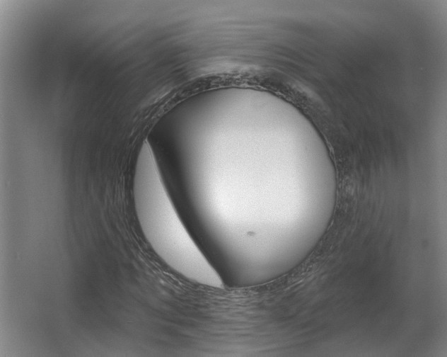 X0000063490869200601201048