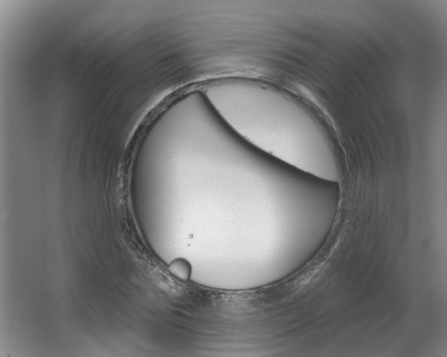 X0000063490875200601201048