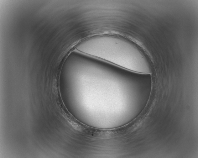 X0000063490881200601201048
