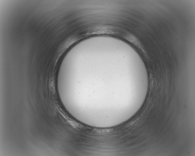 X0000063490882200601201048