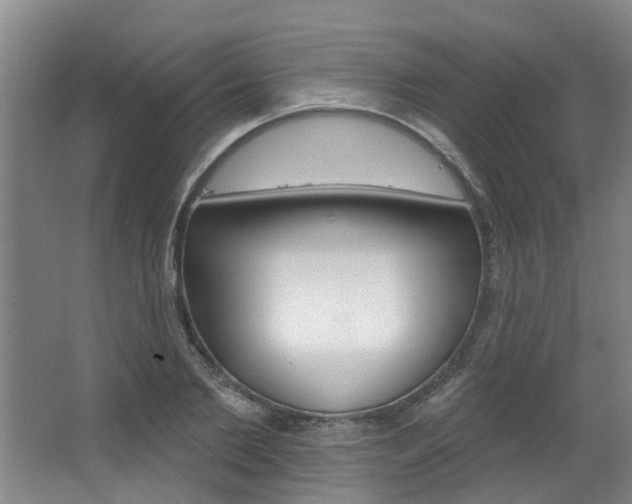 X0000063490885200601201048