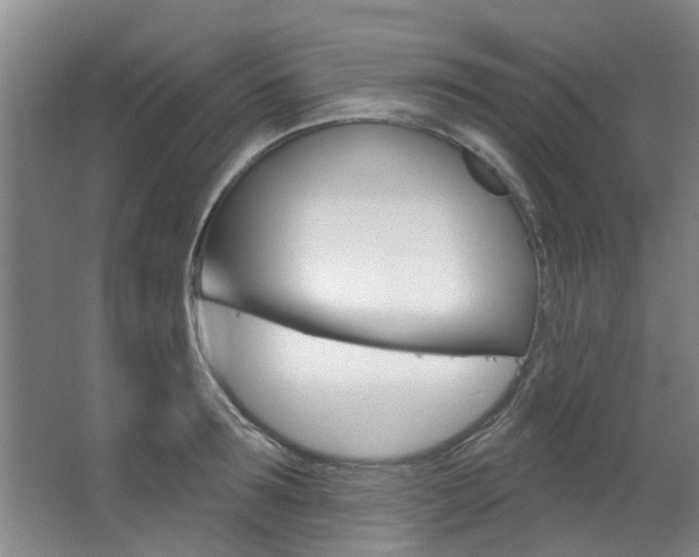 X0000063490899200601201048