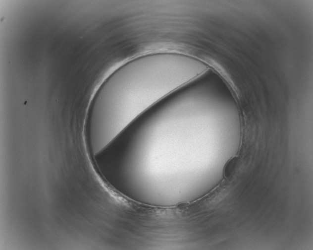 X0000063490901200601201048