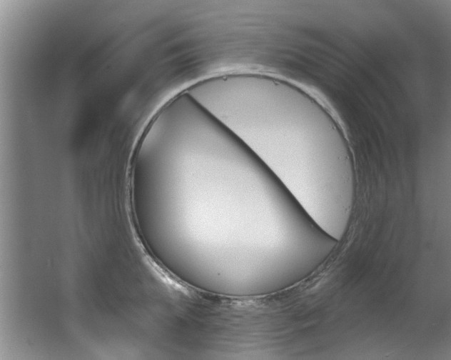 X0000063490903200601201048