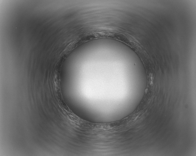 X0000063490915200601201047