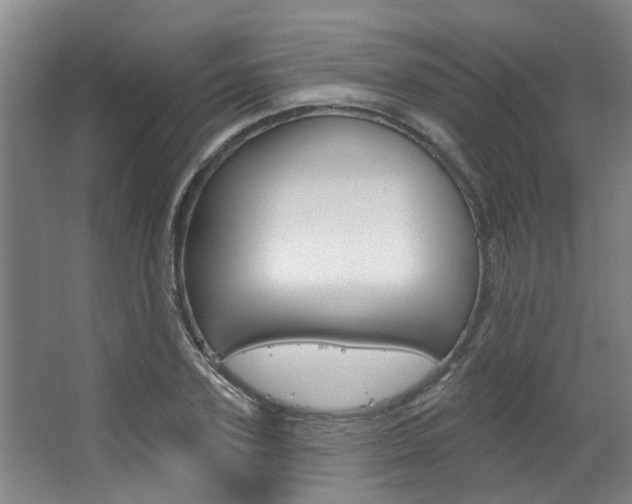 X0000063490931200601201047