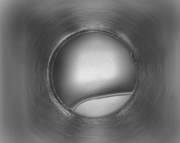 X0000063490932200601201047