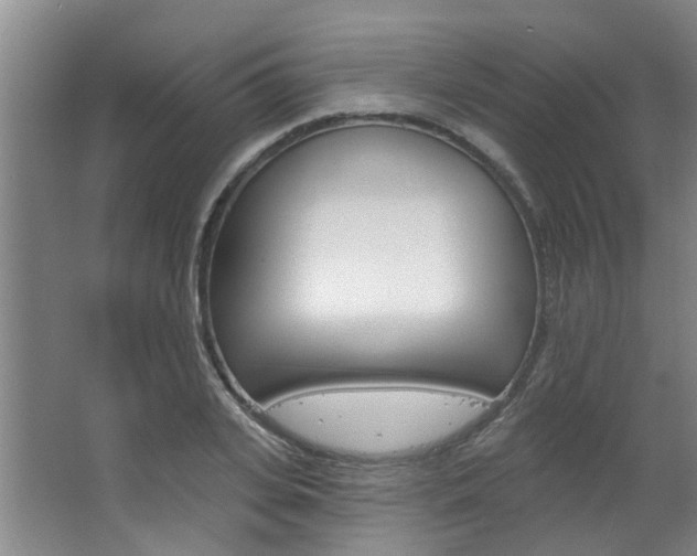 X0000063490935200601201047