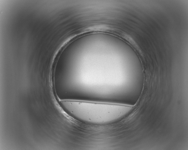 X0000063490939200601201047
