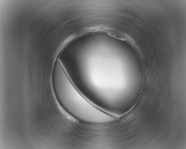 X0000063490946200601201047