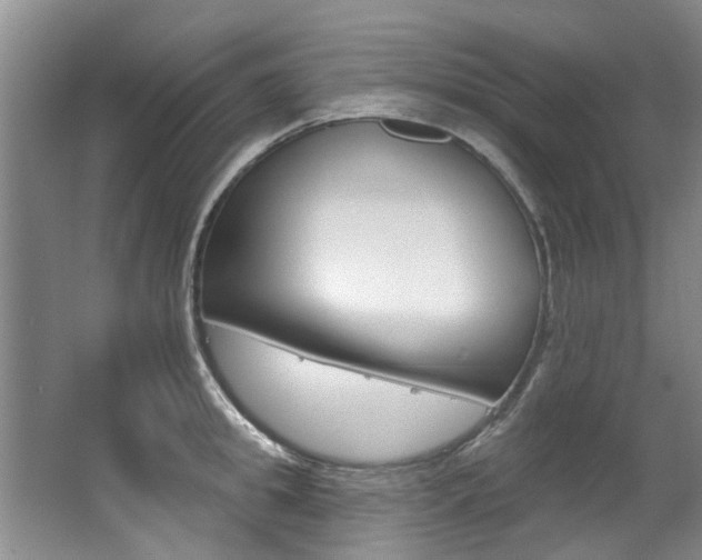 X0000063490949200601201047
