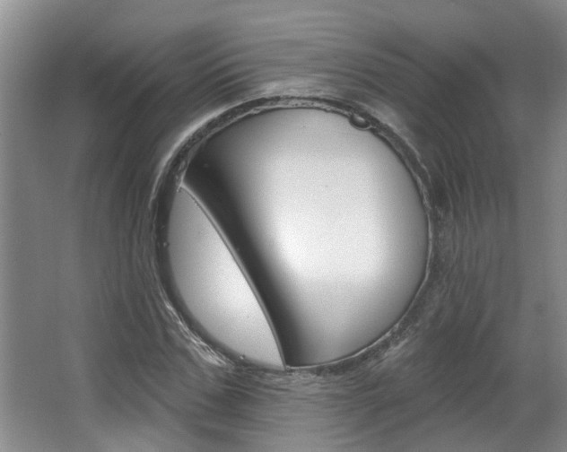 X0000063490971200601201046