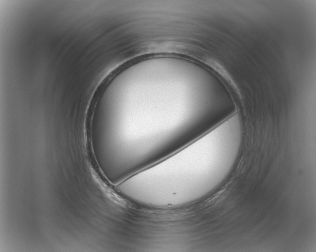 X0000063490980200601201046